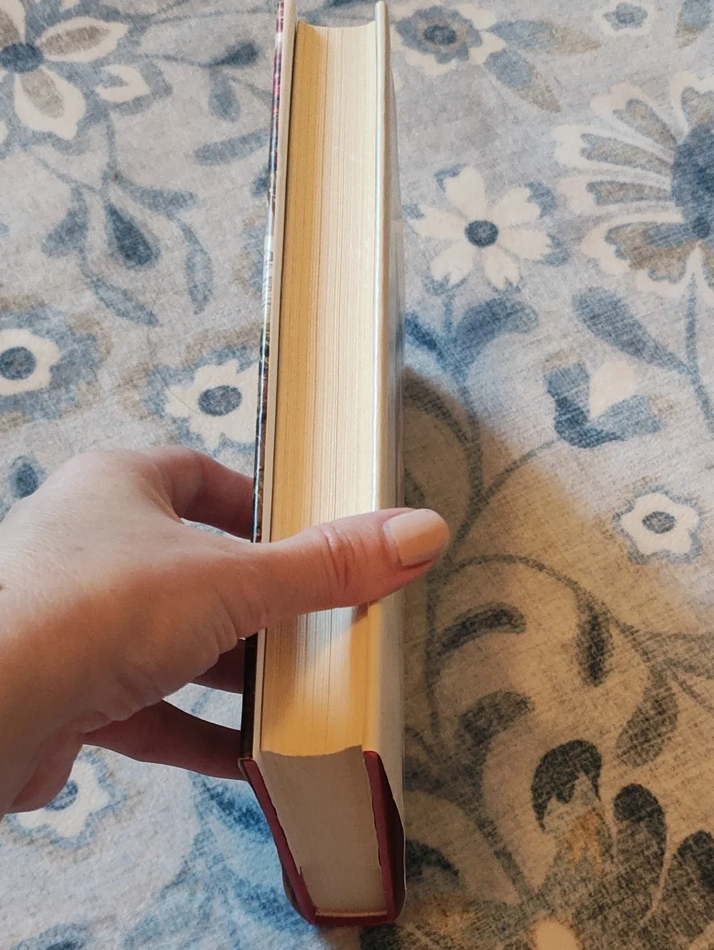 FALL READING: ANY DREAM WILL DO, NOVEL